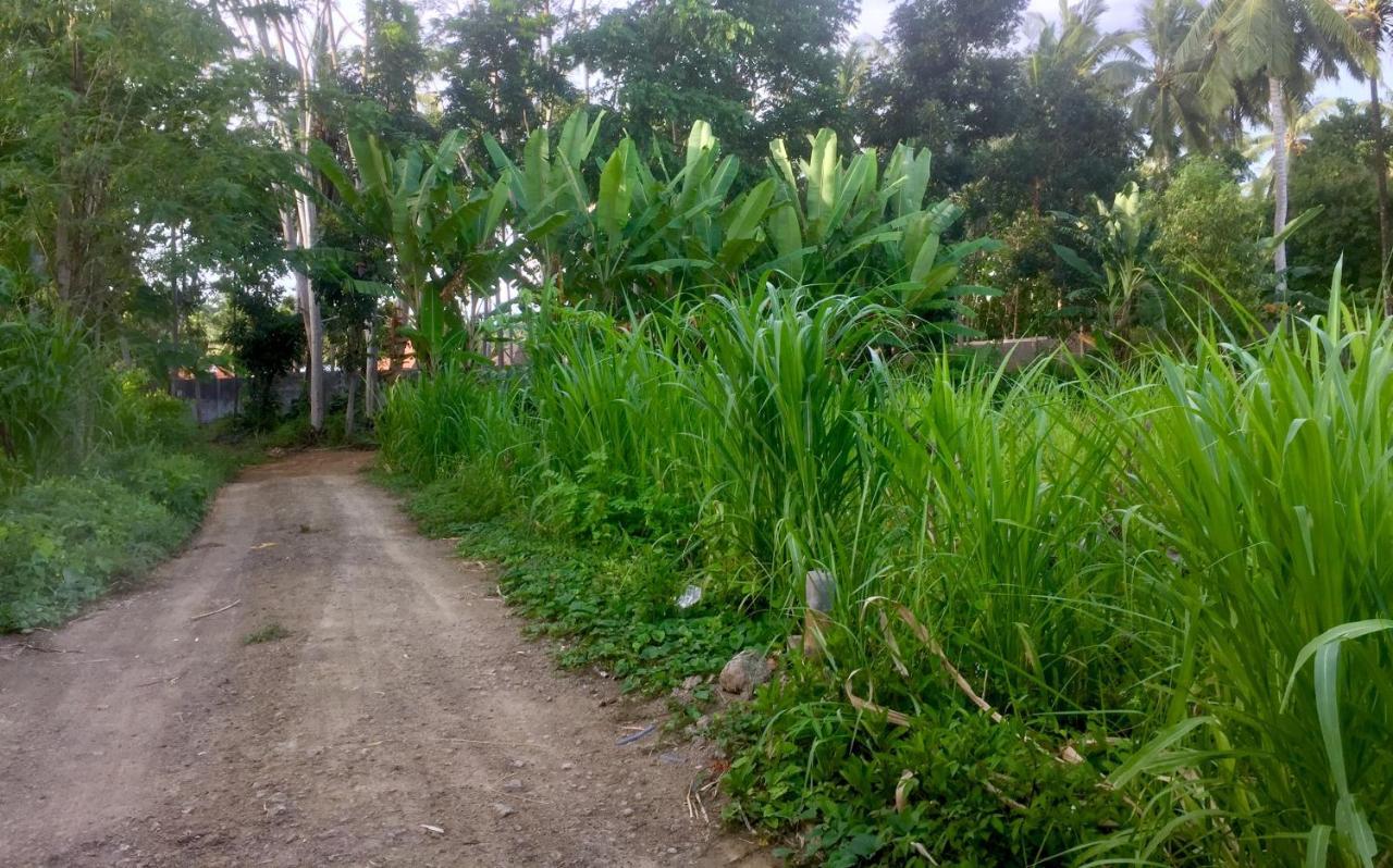 Chemel Homestay Kuta  Exteriér fotografie